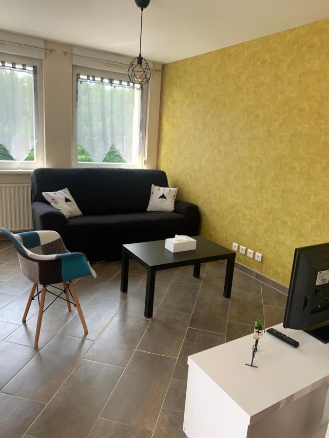 Le meublé de naya Apartamento Saulcy-sur-Meurthe Exterior foto