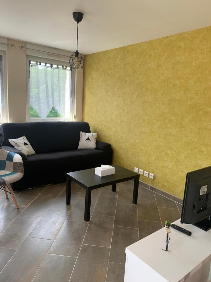 Le meublé de naya Apartamento Saulcy-sur-Meurthe Exterior foto